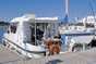 Flodb�d 400242: Cruiser Comfort 6/8 6